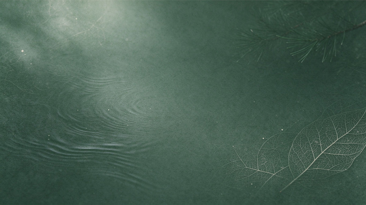 BRODY HUNTER continuous page background